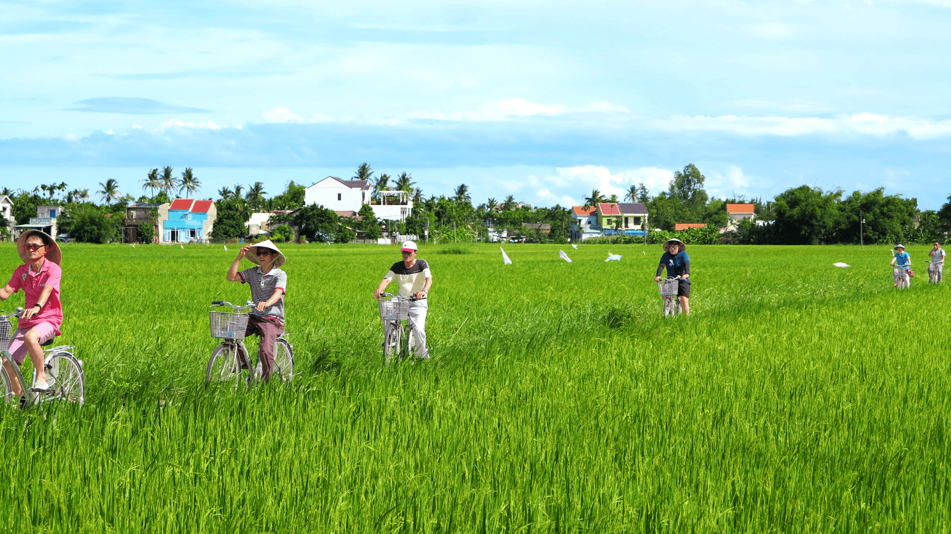 Đắm chìm trong khung cảnh bình yên với đồng cỏ xanh ngắt, mây trắng, nắng vàng.